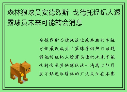 森林狼球员安德烈斯-戈德托经纪人透露球员未来可能转会消息
