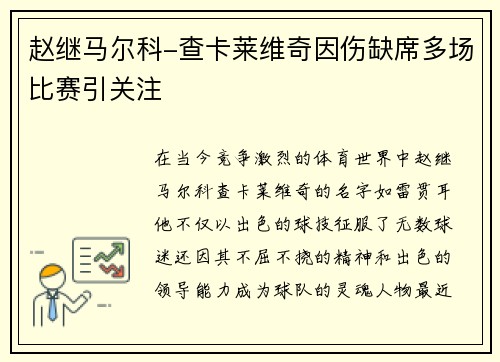 赵继马尔科-查卡莱维奇因伤缺席多场比赛引关注