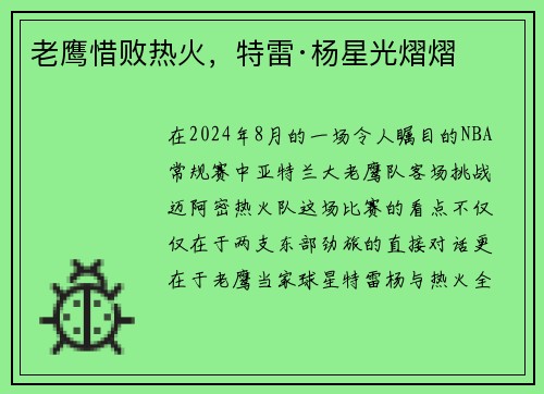 老鹰惜败热火，特雷·杨星光熠熠