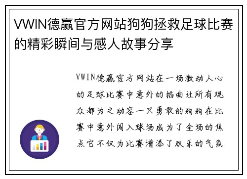 VWIN德赢官方网站狗狗拯救足球比赛的精彩瞬间与感人故事分享